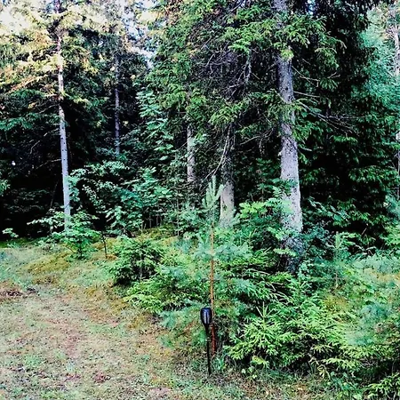 度假居 House - Romantic And Private Place